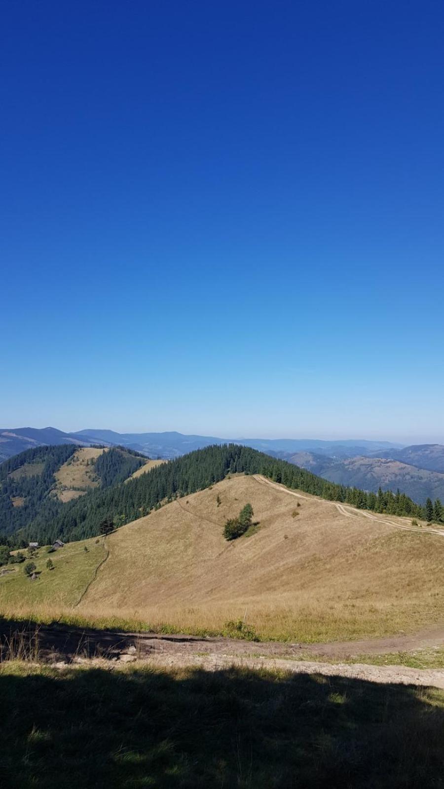 Садиба Кичера Petrashi Ruang foto